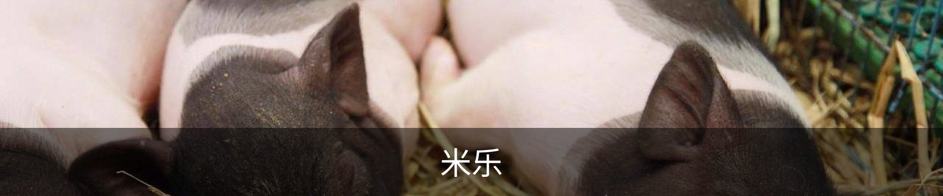 米乐（MILE）官方网站首页 - M6米乐娱乐平台